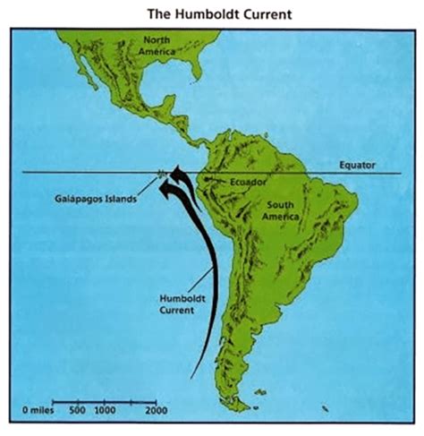 red devil humboldt current.